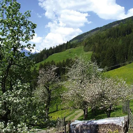 Ferienhaus In Hollersbach - Osb03056-f *